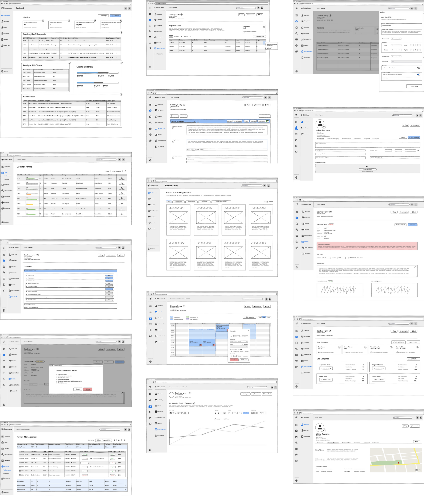 Wireframe mosaic — greyscale screens covering scheduling, employee management, session notes, billing, BIP authoring, supervision review, and document handling across the One Access platform