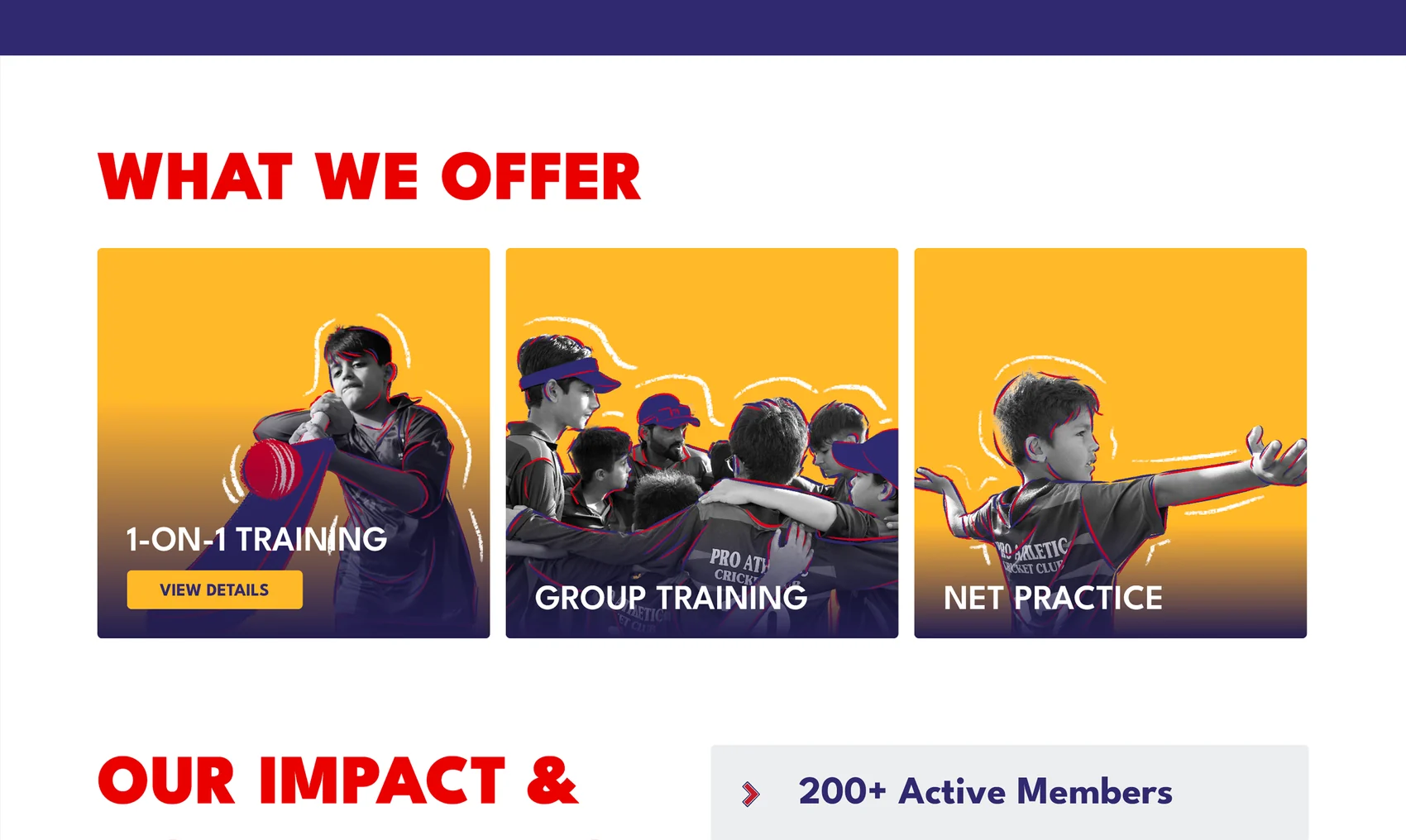ProAthletic landing page — 'What We Offer' with 1-on-1, group training, and net practice, leading into the academy's impact