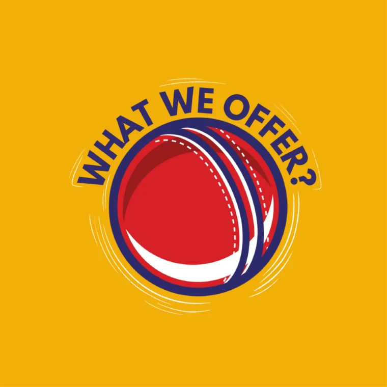 'What we offer?' post with the cricket-ball mark